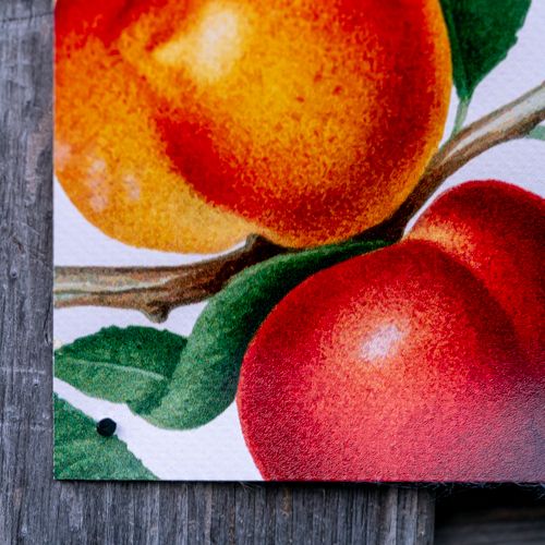 Anwendung Garten-Poster - Miniatur 10 von 12
